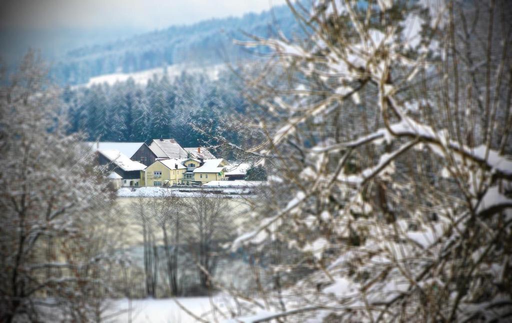 Hotel Der Seehof 하우젠베르크 외부 사진